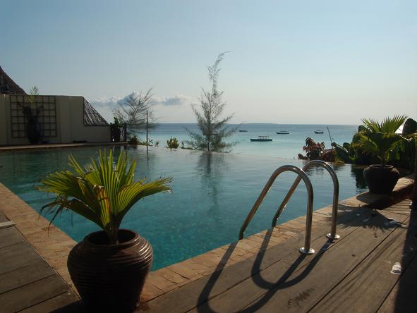 The Z Hotel - Pool 